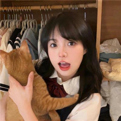 理想之家